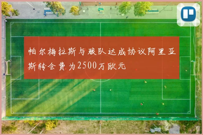 帕尔梅拉斯与狼队达成协议阿里亚斯转会费为2500万欧元