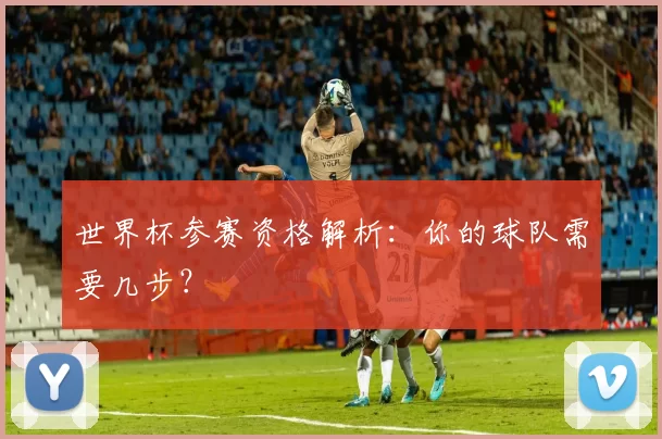 世界杯参赛资格解析：你的球队需要几步？