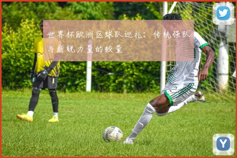 世界杯欧洲区球队巡礼:传统强队与新锐力量的较量