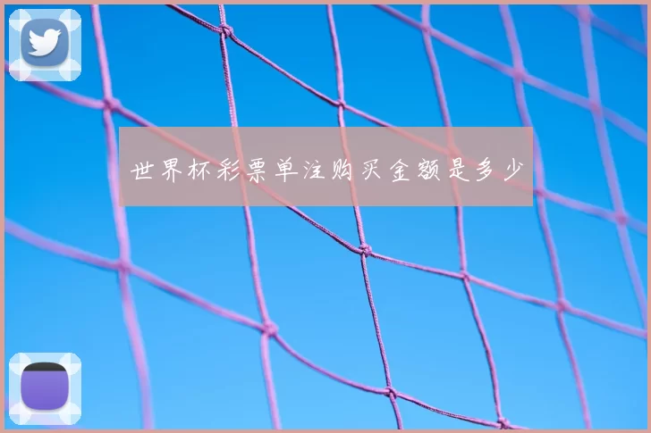 世界杯彩票单注购买金额是多少