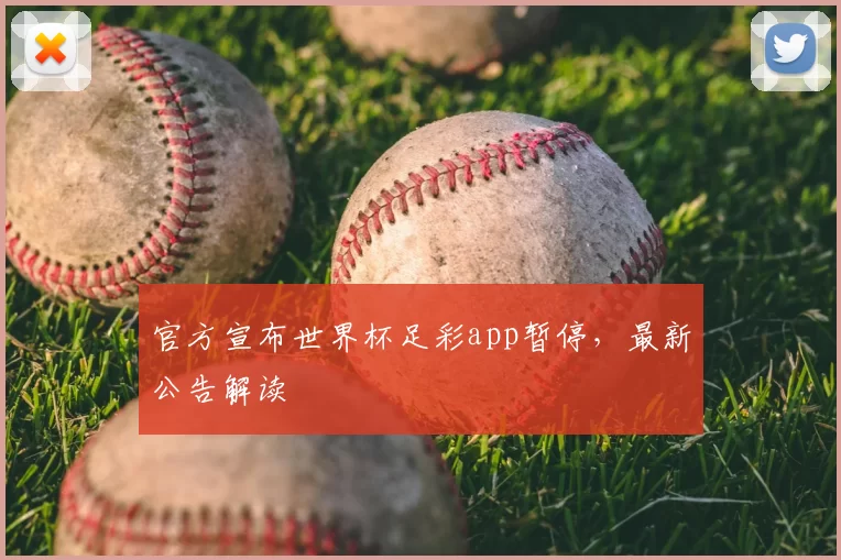 官方宣布世界杯足彩app暂停,最新公告解读