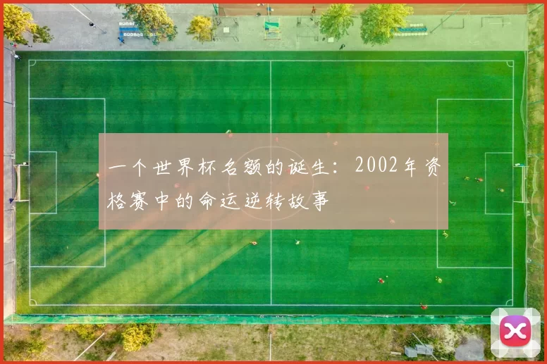 一个世界杯名额的诞生:2002年资格赛中的命运逆转故事