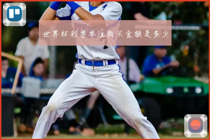 世界杯彩票单注购买金额是多少