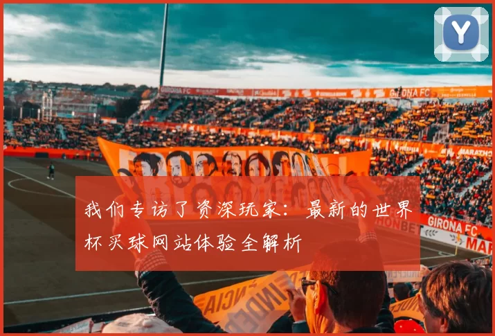 我们专访了资深玩家：最新的世界杯买球网站体验全解析