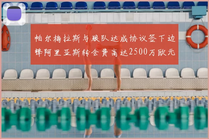 帕尔梅拉斯与狼队达成协议签下边锋阿里亚斯转会费高达2500万欧元