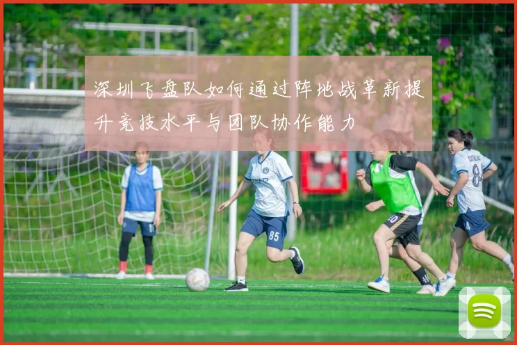 深圳飞盘队如何通过阵地战革新提升竞技水平与团队协作能力