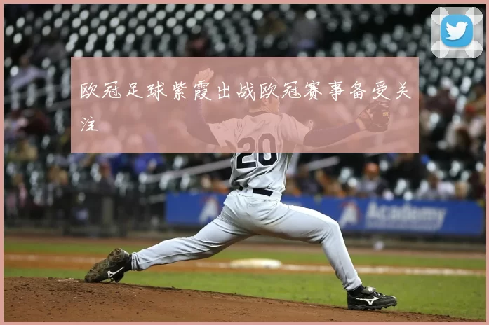 欧冠足球紫霞出战欧冠赛事备受关注