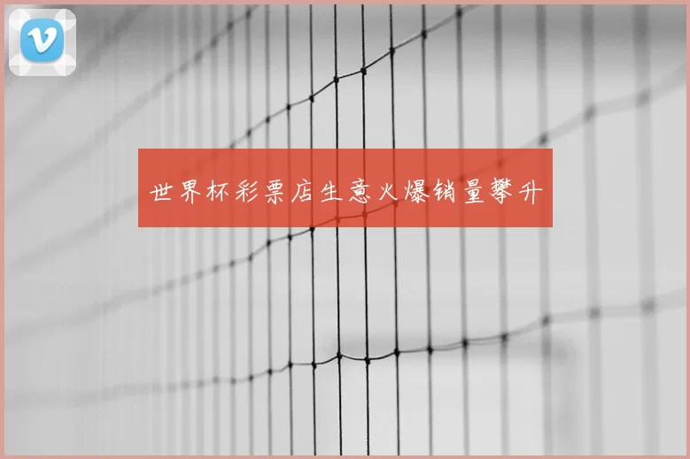 世界杯彩票店生意火爆销量攀升