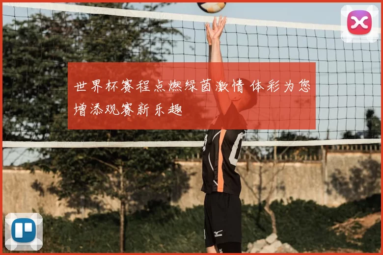 世界杯赛程点燃绿茵激情 体彩为您增添观赛新乐趣